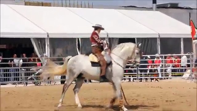 Spectacle Equestre, Solo Garrocha Genio XXVII (1)