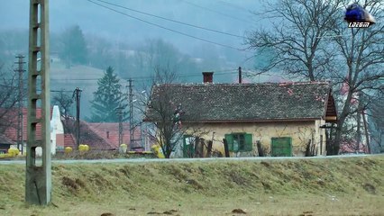 Trains in Apuseni Mountains - Trenuri in Muntii Apuseni (22 12 2013)
