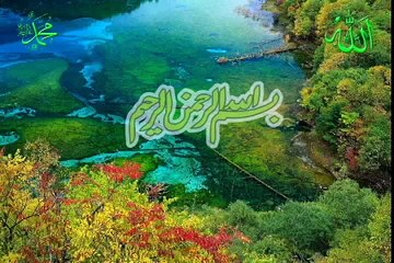Hani ar rifai emotional collections