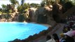 Loro Parque @ Delfinario 02 - Tenerife Delfines Show