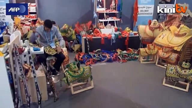 Morocco: The Salon du Cheval gets underway