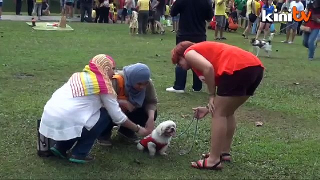 MB elak jawap majlis 'sentuh anjing' di Selangor