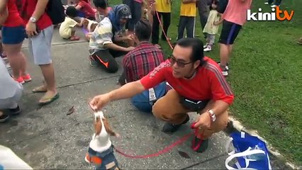 A reconciliation with man’s best friend
