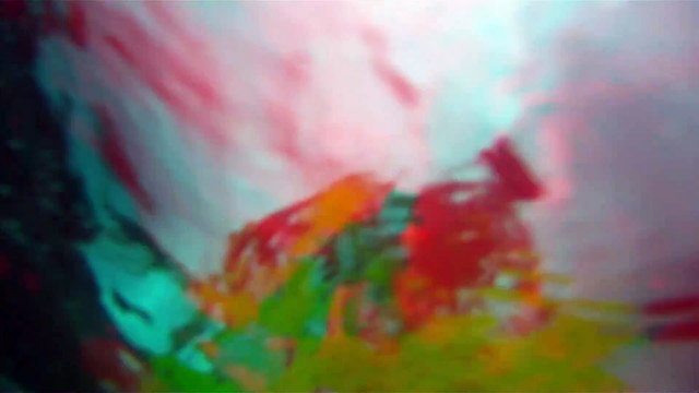 Passeio na praia e nos mares, Ubatuba, Praia da Enseada, Litoral Norte, SP, Brasil, 2015