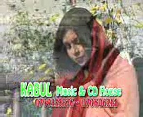 sikandar ali brohi;;;
