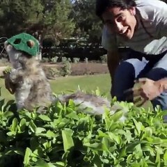 Magic Or Real Plz and Comments...!