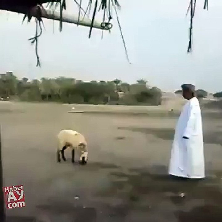 ایسی ڈانس کوئی کر سکتا ہے