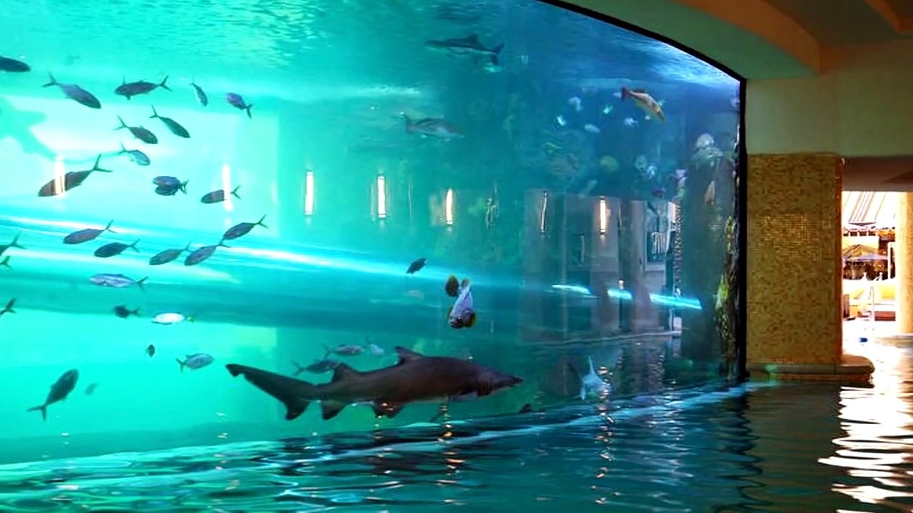 Top 10 Exotic Swimming Pools