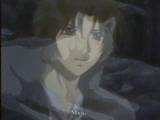 Wolf's Rain