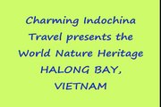 www.charmingindochina.com - halong bay vietnam tours, halong bay junks