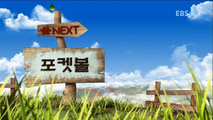 倒霉熊 第二季 720p HDTV Backkom S02E19 Soccer Pocket billiards