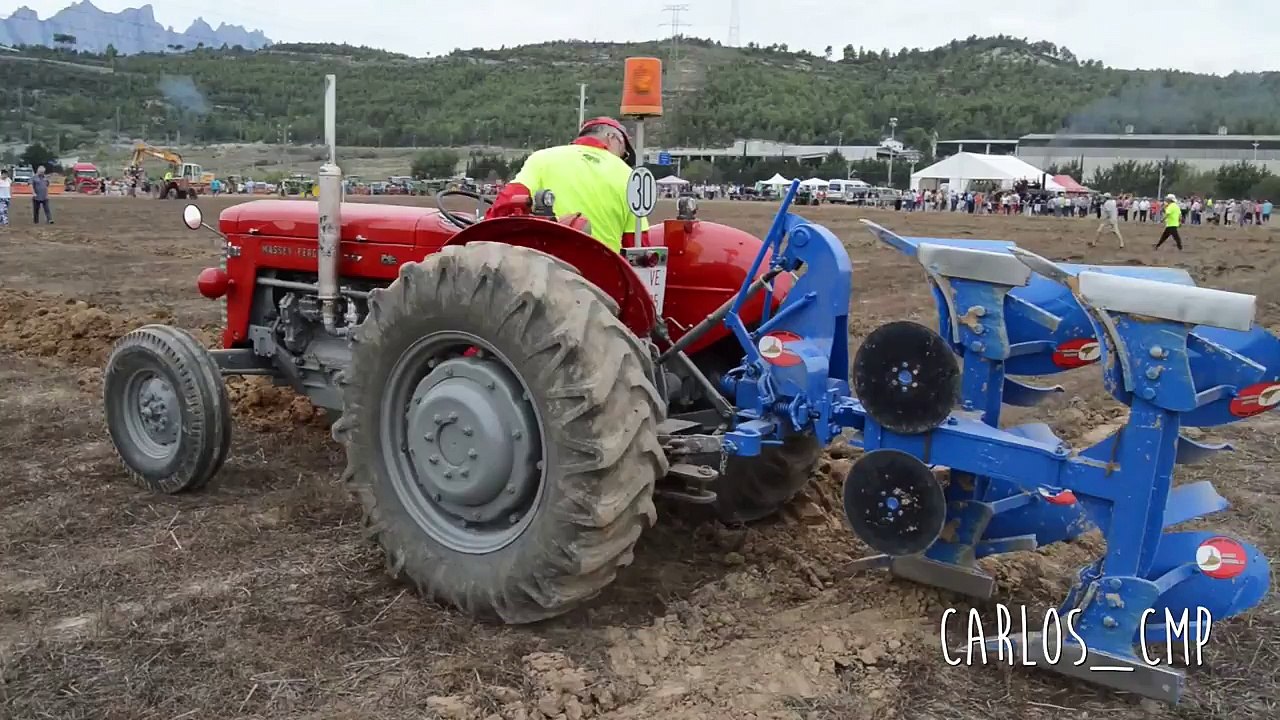 MASSEY FERGUSON 65
