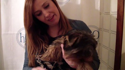 Irukaes - Como cuidar a tu cachorro - El Baño