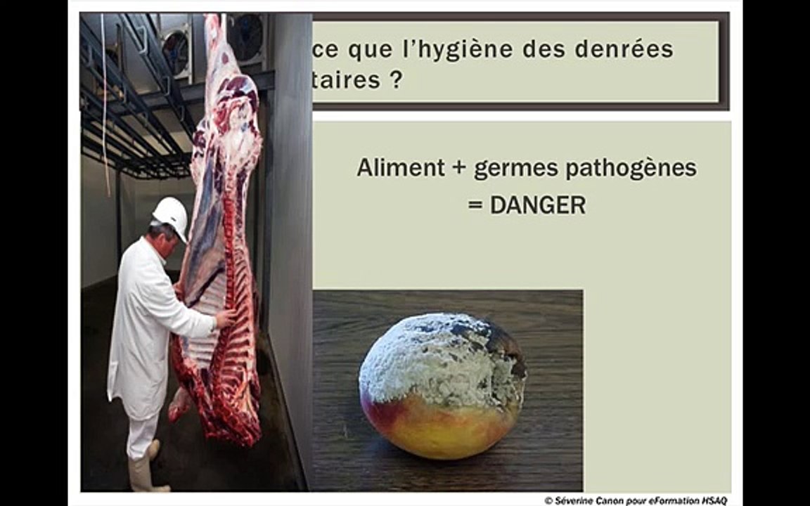 Notion sur l'hygiène des denrées alimentaires