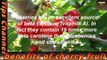 Benefits of Cherry Fruit | Cherries