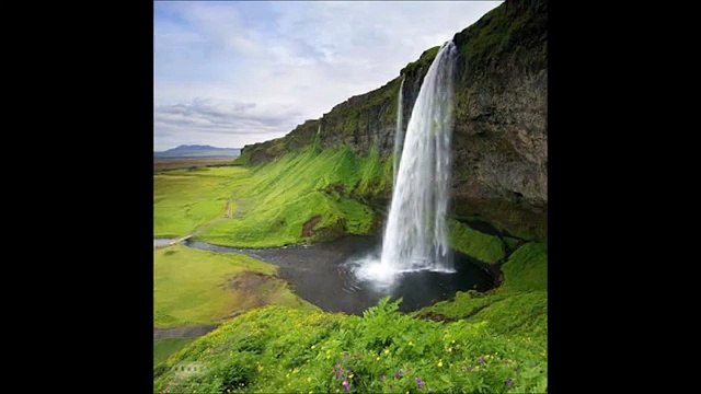 The Controllers Somebody's Gotta Win.wmv