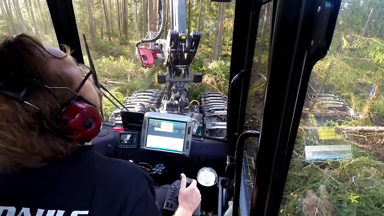Malwa 560H Harvester with Log Max 928