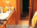 cat attacks flushing toilet