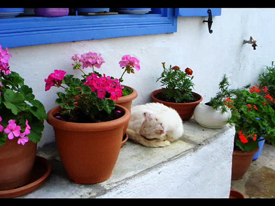 Skopelos Island((Σκοπέλου)-Kastro- część 2