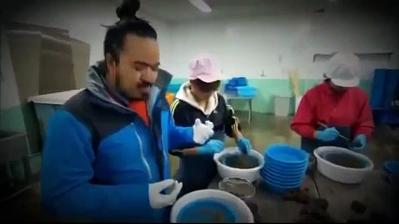 JAPANESE FOOD CULTURE 2015  "SUSHI"  Hokkaido - World Travel Channel HD