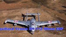 Ready2fly De Havilland Venom DH-112　ChangeSun 90mm 12 Blade