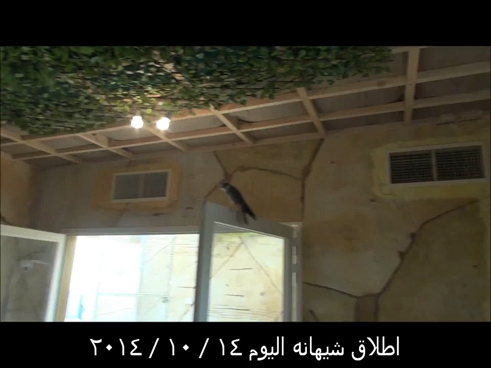 اطلاق شيهانه الموافق 14 / 10 / 2014