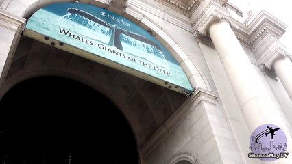 American Museum of Natural History - New York City