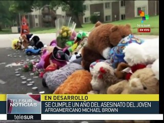 EE.UU.: Activistas se movilizan a 1 año del asesinato de Michael Brown