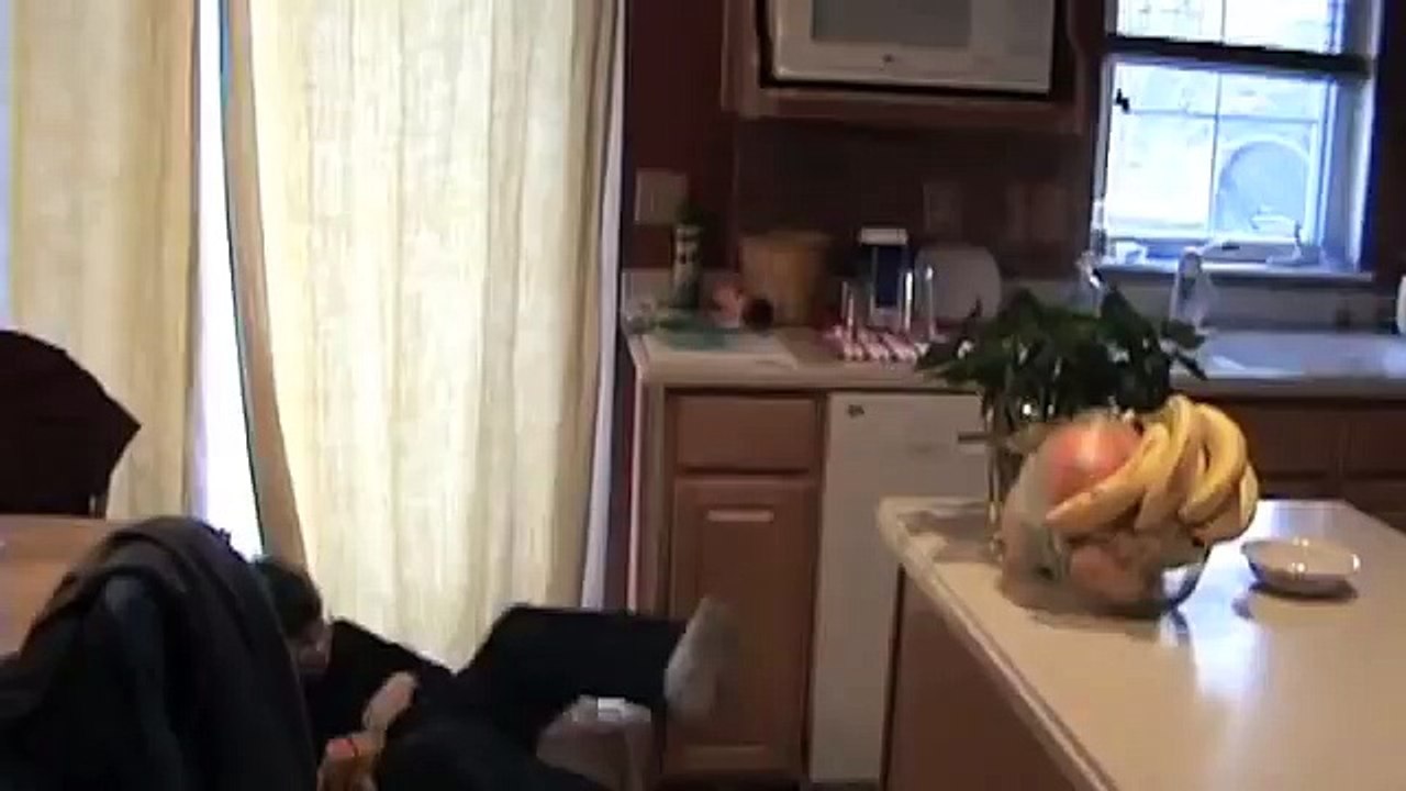 Nerf War: The Assassin