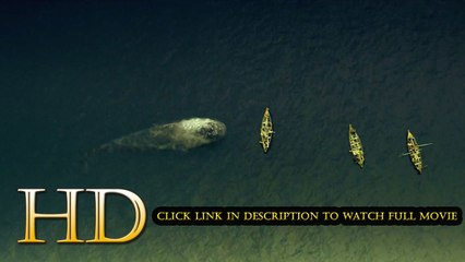 In the Heart of the Sea Full Movie Streaming Online (2015)