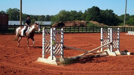 Quarter Horse Paint Mare for Sale