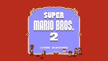 Vadrum Meets Super Mario Bros  2   Super Mario Bros  2 Music HD