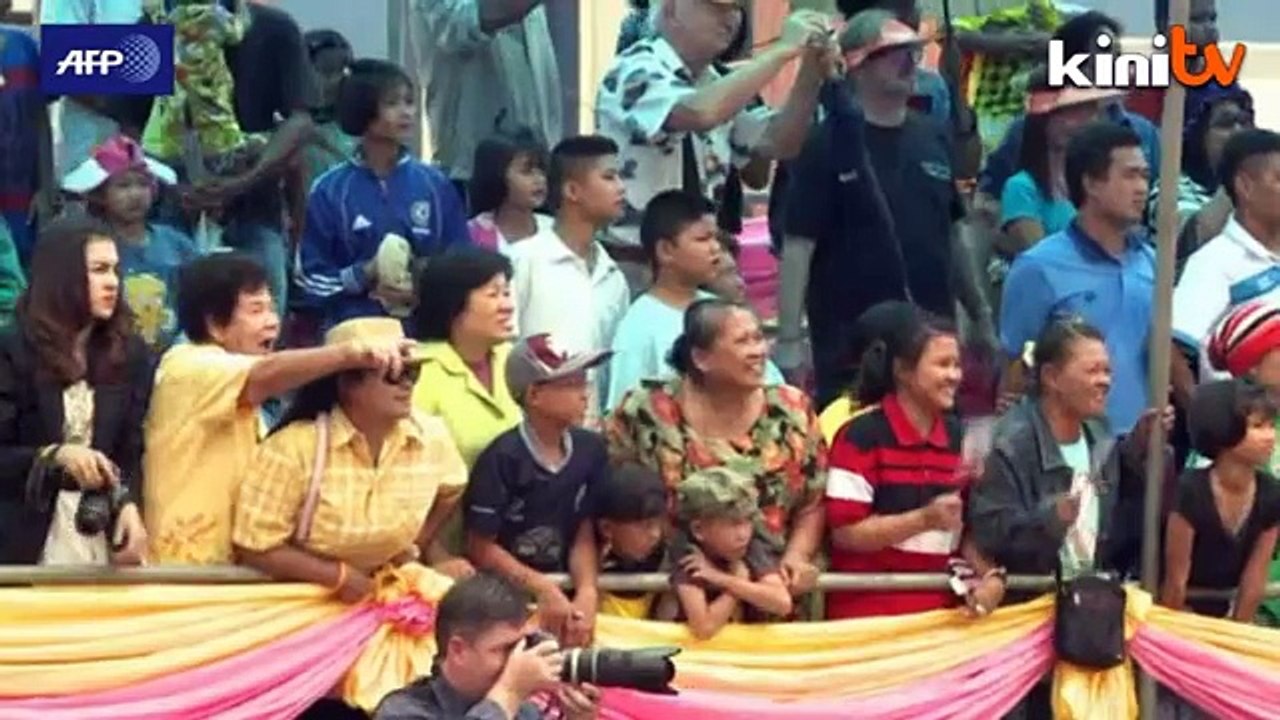 Thai buffalo farmers swap paddy fields for race track