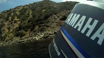 Spearfishing Catalina Island