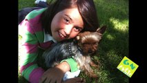 Mascotas y perritos - Educando a mi mascota - generacionnatura.org