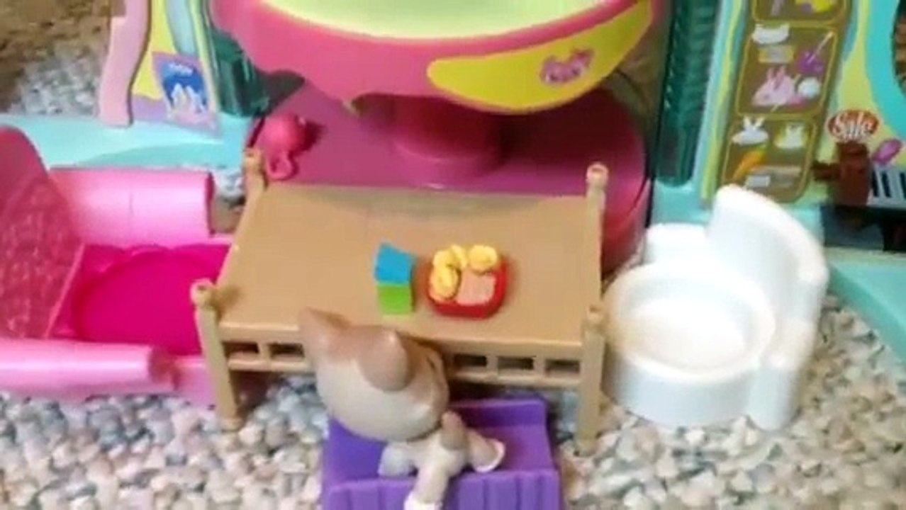 LPS Adoption Center!