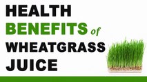 Health Benefits of Wheatgrass Juice