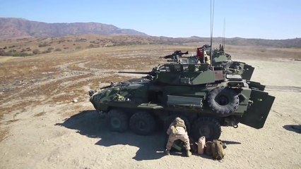 The Powerful and Feared US Armored Vehicle in Action  The LAV-25
