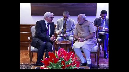 German Foreign Minister Frank-Walter Steinmeier calls on PM Narendra Modi