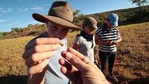 Rainbow Valley Cultural Tours, Alice Springs Region