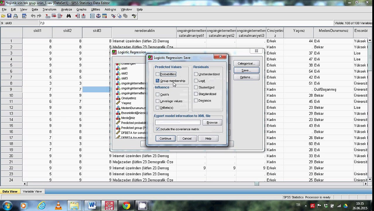Lojistik Regresyon (Binary) SPSS, Hipotez Testi