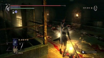 Demon's Souls - How to pass 3-1 Arrow shooting Bridge