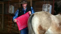 Red flag / red towel / red ribbon ? why on your Horses tail ? stall13.com videos