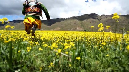 MATAR PARA VIVIR la cruel decisíon TRAILER EN QUECHUA