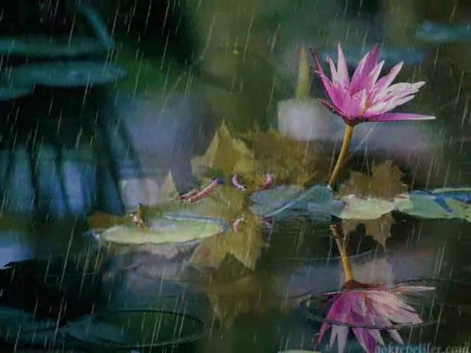 AnneSindeN KızıNa iyiki DoğDuN ___NiLKaRa___