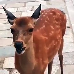 When you realize that tomorrow is monday...