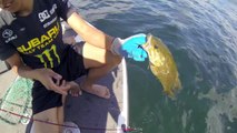 GO PRO - Underwater Camera  Bass Fishing - Lake george NY