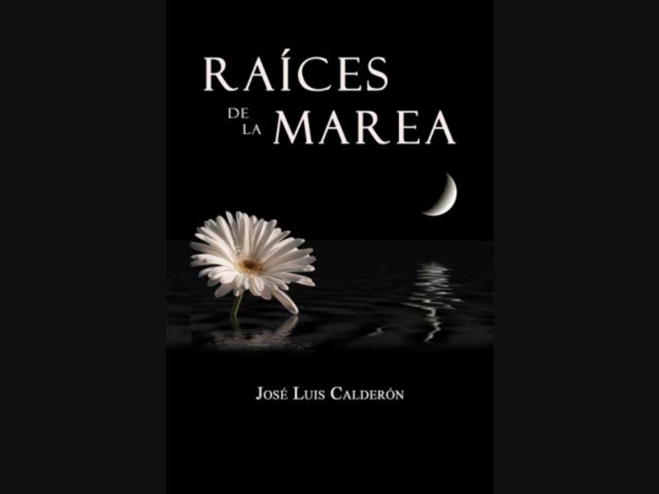 NOCHE DE AMOR - Haikus de José Luis Calderón