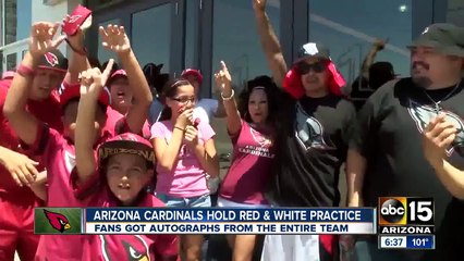 Arizona Cardinals hold a red and white practice for fans