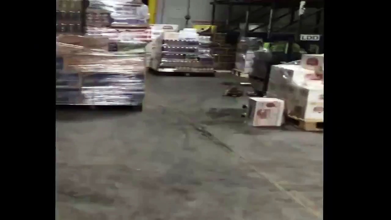 Mapache entra a una bodega de alcohol y sale ebrio – Raccoon enters a hold of alcohol and drunk out